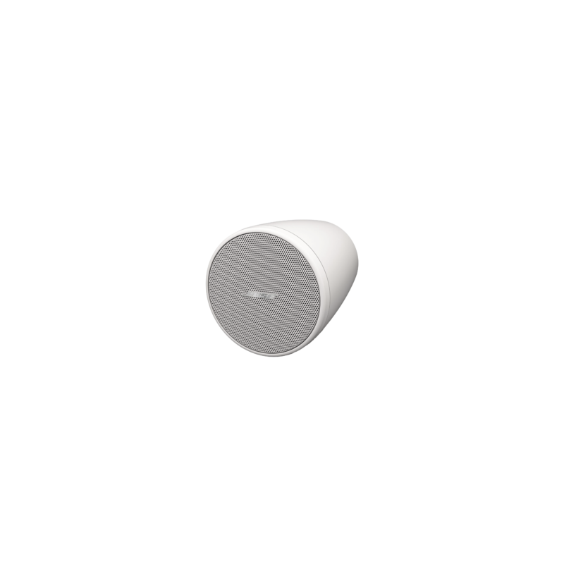 BOSE PROFESSIONAL FS2PW