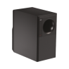 BOSE PROFESSIONAL FS3S1A
