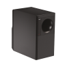 BOSE PROFESSIONAL FS3S1A