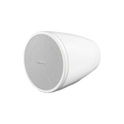 BOSE PROFESSIONAL DM3PW