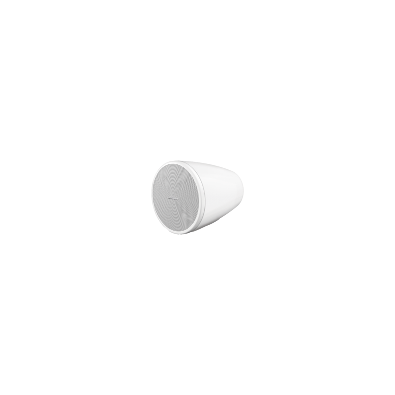 BOSE PROFESSIONAL DM3PW