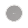 BOSE PROFESSIONAL FS4CEW