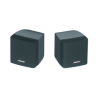BOSE PROFESSIONAL FS3SMS