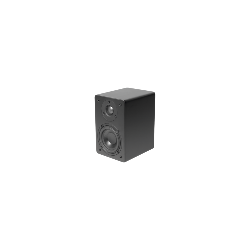 TRUAUDIO CT4