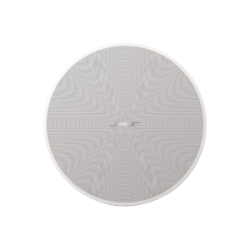 BOSE PROFESSIONAL DM5CW
