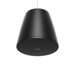 BOSE PROFESSIONAL DM10P-SUB