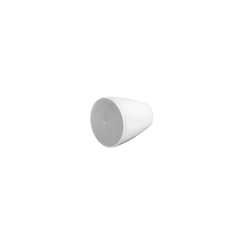 BOSE PROFESSIONAL DM5PW
