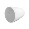 BOSE PROFESSIONAL DM5PW