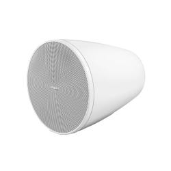 BOSE PROFESSIONAL DM5PW
