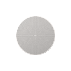 BOSE PROFESSIONAL DM6CW