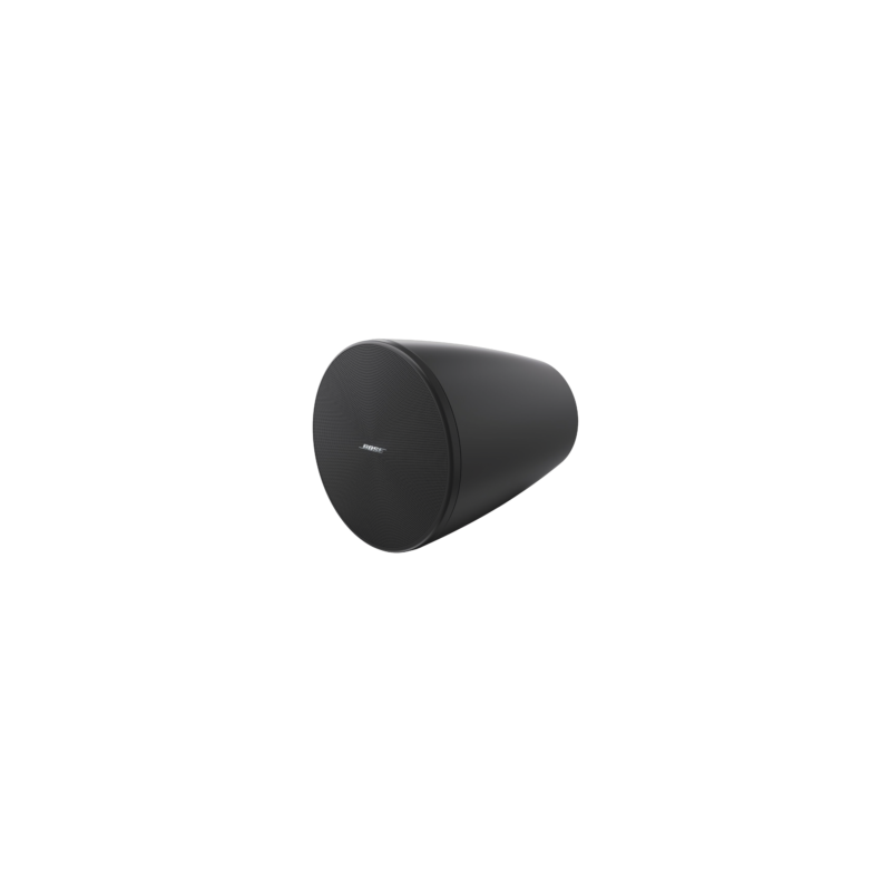 BOSE PROFESSIONAL DM5P