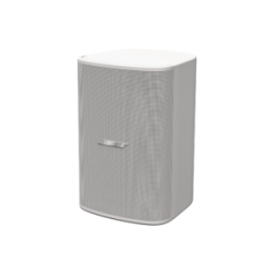 BOSE PROFESSIONAL DM5SEW