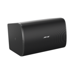 BOSE PROFESSIONAL DM10S-SUB
