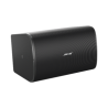 BOSE PROFESSIONAL DM10S-SUB